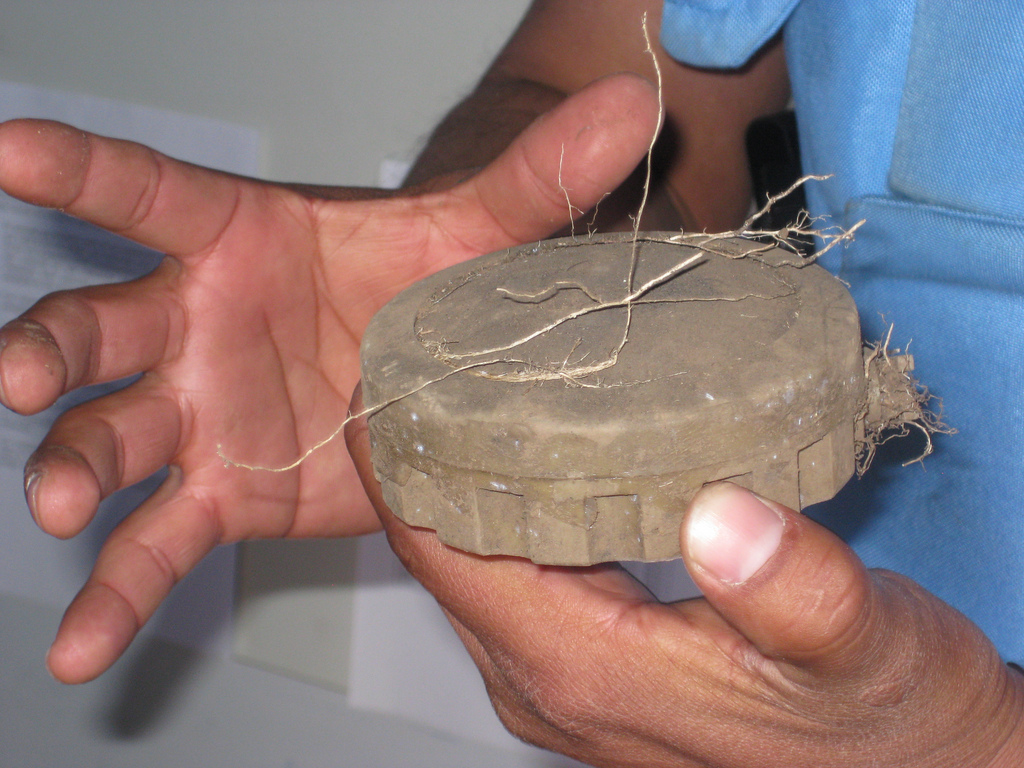 Mine from Peruvian Amazon
